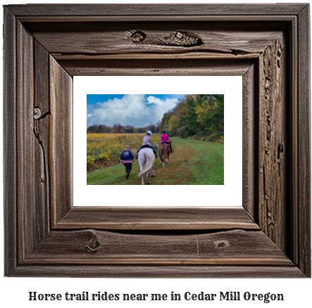 horse trail rides near me in Cedar Mill, Oregon